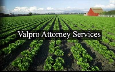 Holtville California Registered Process Server