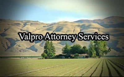 Soledad Registered Process Server