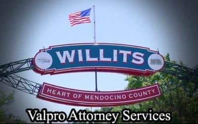 Willits Registered Process Server