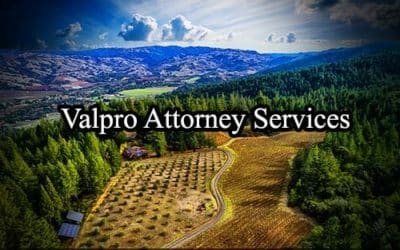 Boonville California Registered Process Server